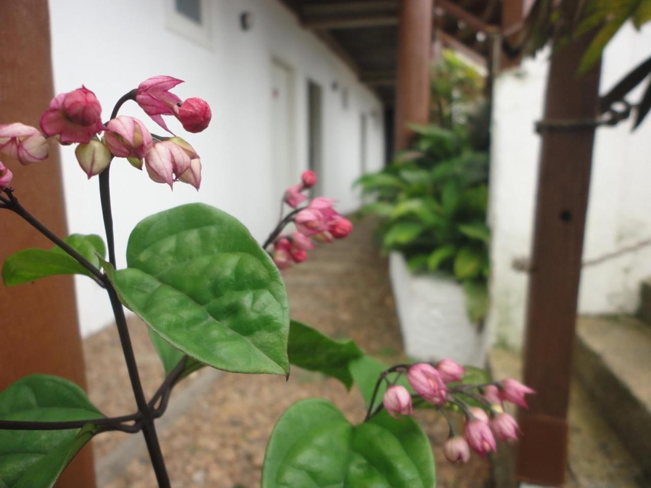 Suites E-Ponto - Entre O Centro Historico E Mata Atlantica Paraty Exterior photo